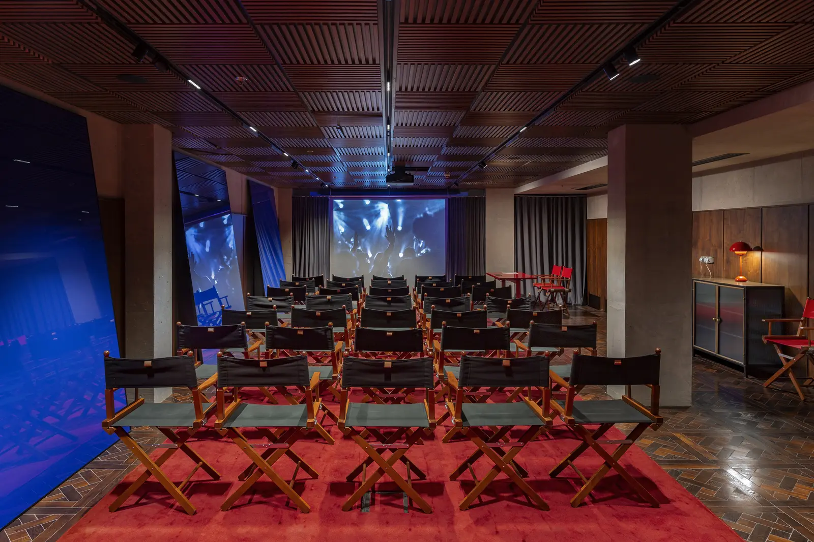 Hotel Afisha Cinema Room